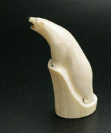 Alaskan ivory standing bear ALI00457-2