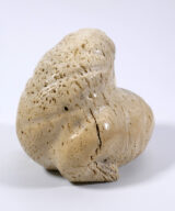 Whalebone walrus Alaskan Eskimo-Inuit ALI00602-4